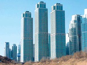스타들이 모여사는 곳에 가봤다