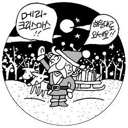 [지방화제] 해운대해수욕장 일대 ‘은하수거리’ 조성 등 성탄 준비 한창