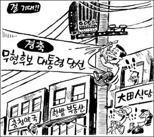 만평으로 본 대선일 즈음 조•중•동