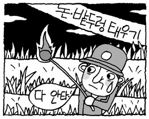 [지방화제] 논ㆍ밭두렁 태우기 시기 논란
