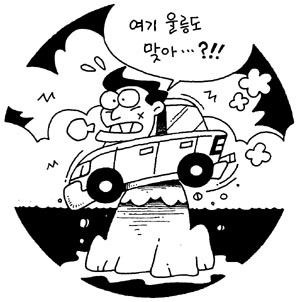 [지방화제] 울릉도 교통난 대도시 뺨치네