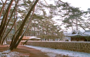 영월 단종유적지•별마로천문대