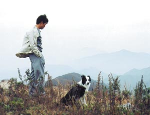 주가 쑥쑥 견공배우 스토리