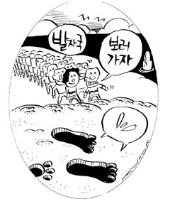 [남제주] 5만년 전 인류 발자국 화석 발견 바닷가 ‘후손들 발’에 치인다