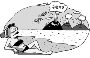 [충남 보령] 서해안 원산도 호도 등 관광개발 노린 ‘투기열풍’