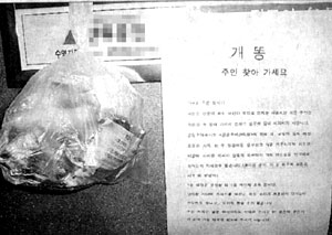 [부산시] ‘개똥 찾아가세요’