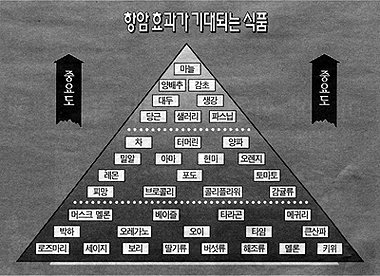 임상암예방학회도 출범 면역·식이요법의 핵심