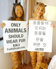 명동 ‘모피반대 알몸시위’ PETA 회원
