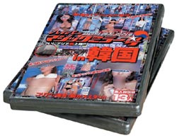 욘사마 팔아먹기 일본 AV가 움직인다