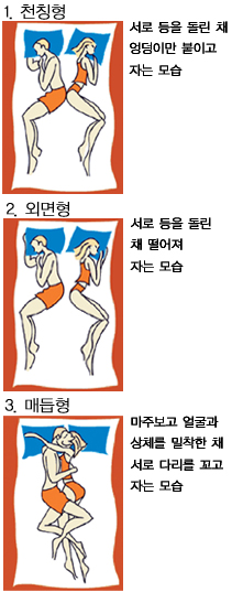 잠자리 자세와 부부관계 함수