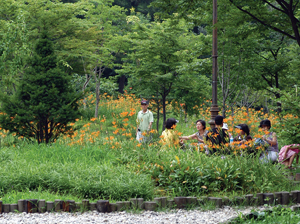 [한나절 코스 도심명소] 남산 야생화공원