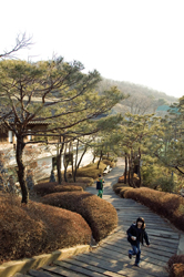 [한나절 나들이] 과천 제비울미술관