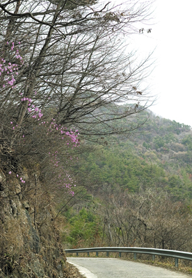 전남 화순 연둔리