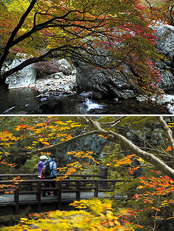 지리산 피아골 단풍여행