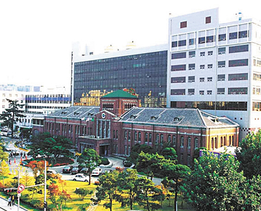 [대학병원 교수] 전공의 상습 성폭행 진실게임