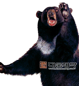 [대웅제약 비만 프로젝트] 의협서 태클 건 내막