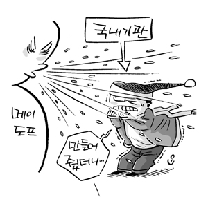 메이도프 한파 맞은 국내 기관들