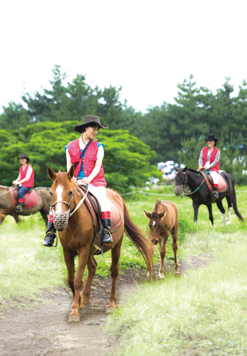 제주도 97번 국도 숨은 재미