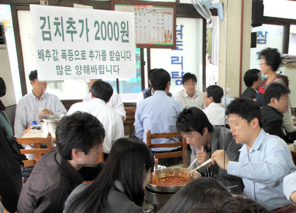 채소값 폭등 요식업체 생존전략