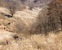 포천 명성산& 산정호수 트레킹