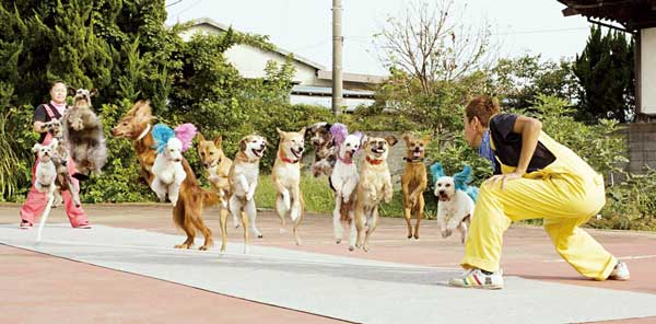 13마리 견공 줄넘기 폴짝 폴짝 뛰어라~