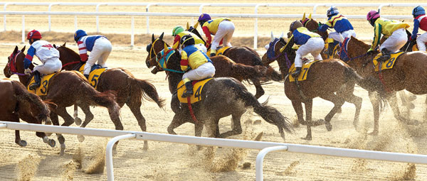 일요경마 서울마주협회장배 1400m 대상경주 미리보기