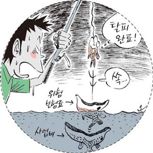 [꿩먹고 알먹는 보험테크] 저축성 보험