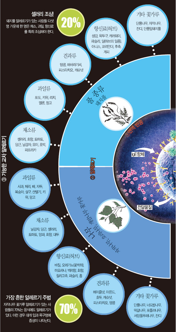 해외리포트 ‘교차 알레르기’의 모든것