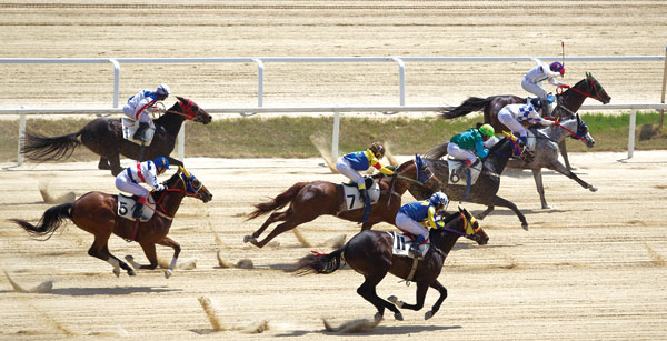 일요경마 문화일보배 1400m 대상경주 미리보기