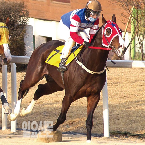 주행심사로 본 눈에 띄는 신예마