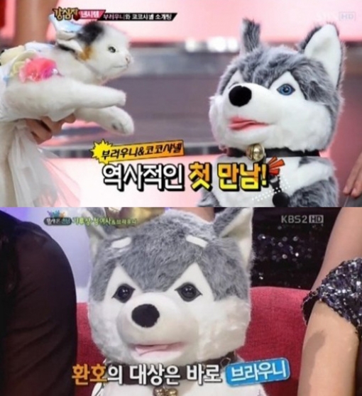 브라우니 겹치기 출연 '원조·짝퉁 논란 웃겨요~'