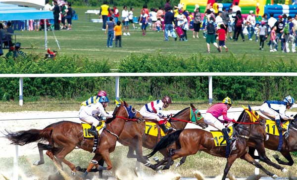 명마예감 - 연두