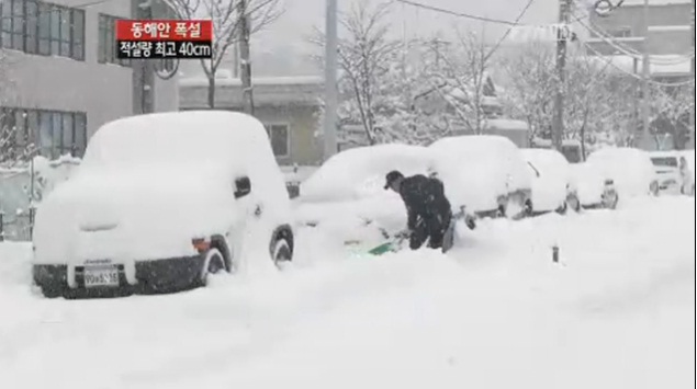 강원 영동, 폭설로 피해 우려…각 지자체 제설 작업 박차
