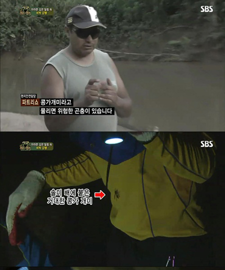족장 김병만 실신시킨 콩가개미의 무서운 위력... "물리면 살 썩는다" '총알개미' 별칭