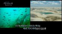 '서프라이즈' 렌소이스 신비의 사막 관심 폭주