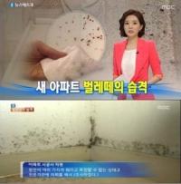 새 아파트 '먼지다듬이' 벌레떼 습격... 주민들 피부병까지 '깜놀'