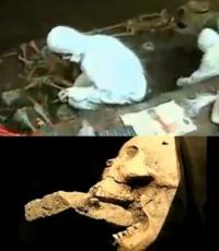 뱀파이어 유골 발견…다리 사이에 머리가?