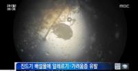 옴 전염성, 피부만 접촉해도 옮아…증상과 예방법은?
