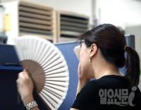 말복날 전국적으로 '폭염' 절정…이번주 내내 무더위 기승