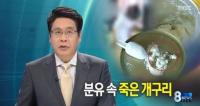 보건당국, 분유서 개구리사체 발견돼 조사 착수…소비자들 '분통'