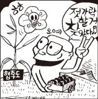 독초 관련 사건사고는?