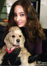 한채영 근황, 출산 후에도 변함없는 미모 "애엄마 맞아?"
