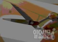 택시비 떼먹은 무서운 '가위소년', 블랙박스가 잡았다