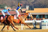 KRA컵 마일(GⅡ) 출전마 미리보기