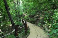 서울 구로구 “올레길, 숲 해설가와 함께 걸어요”