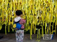 서울광장 합동분향소의 리본을 바라보는 어린아이