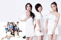 아이돌그룹 ‘멤버 충원’ 엇갈린 시선