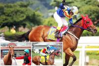 ‘SNTC(싱가포르)트로피’ 출전마 미리보기