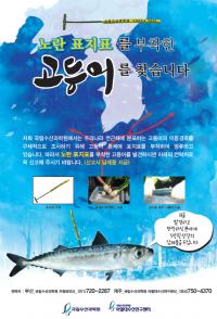  남해안 고등어, 가을엔 어디로 갈까...