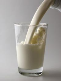 “하루 우유 세잔 이상 마시면, 사망 위험 커질 가능성 높아”